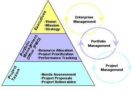 Diagram Illustrating project portfolio vs project managment