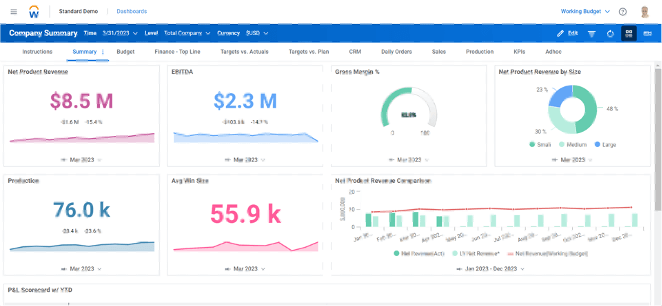 A screenshot of Workday Adaptive Planning summary page.